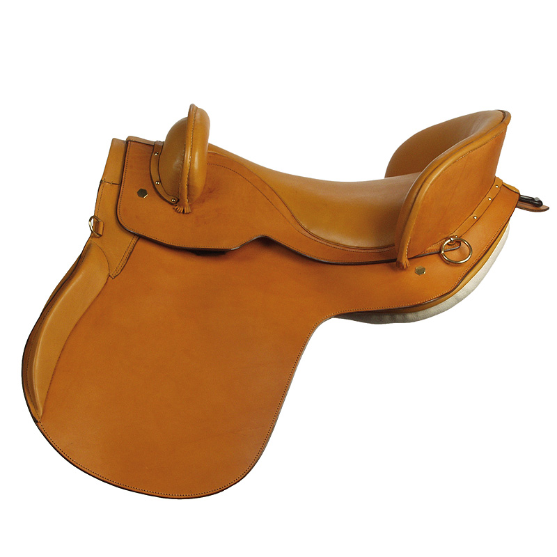 5-best-english-saddle-brands-on-the-market-horse-rookie