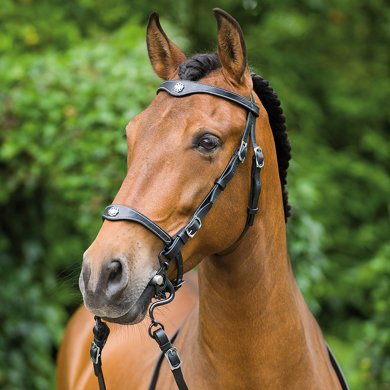Portuguese Bridle, with Reins, Lusitania – Artisan Tack