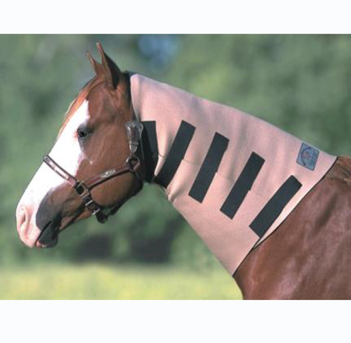 Couverture Cheval Fabtron Néoprène – Full Neck Sweat Wrap, Yearling Arabian 9404 Rouge